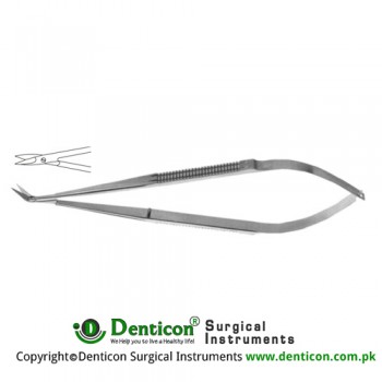 Micro Scissor Extra Delicate Blades - Straight Stainless Steel, 16.5 cm - 6 1/2"